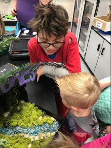 6th grade STEM Project: Students presenting their Climate Projects to preschool students.